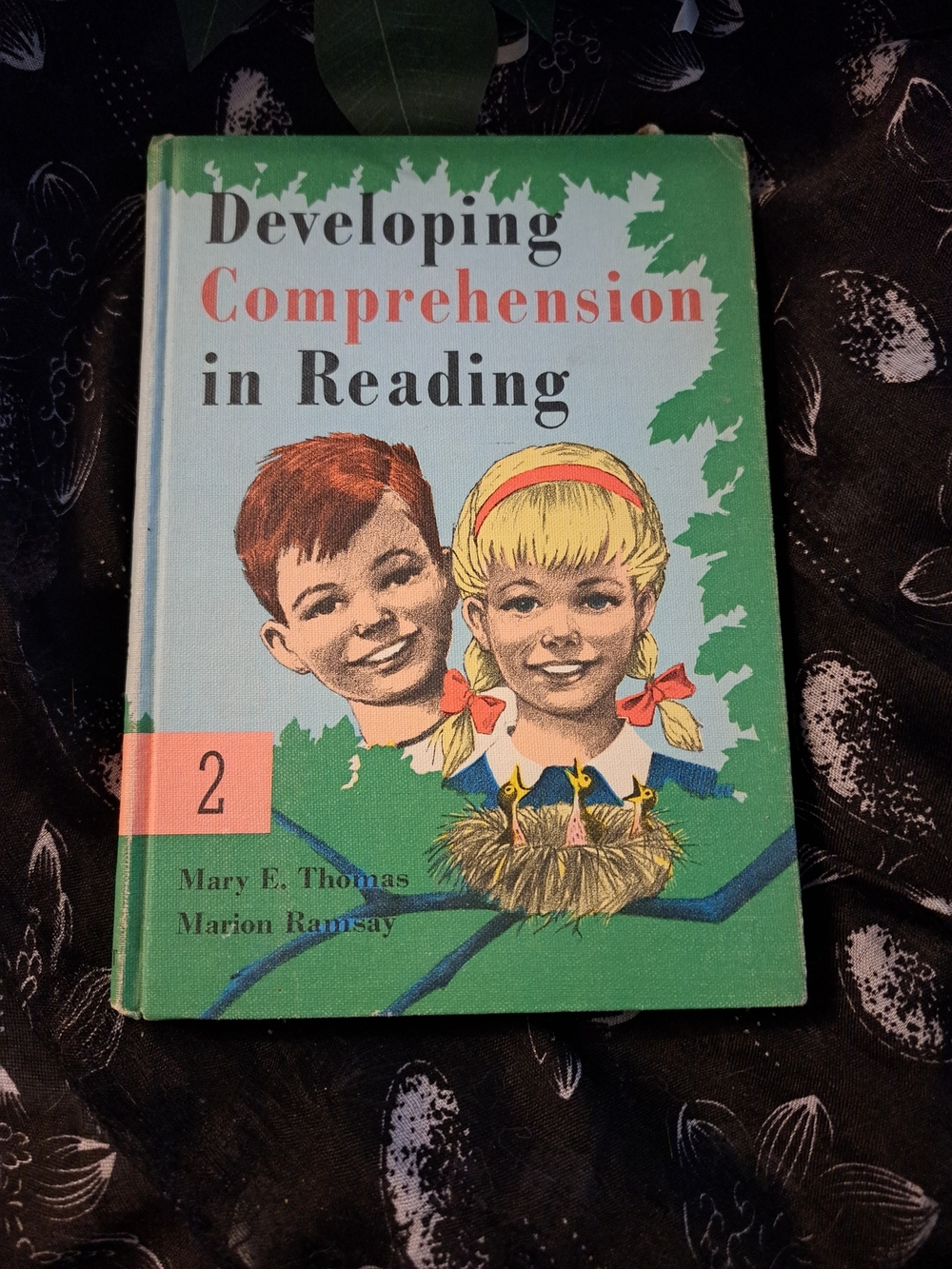 Developing Comprehension In Reading